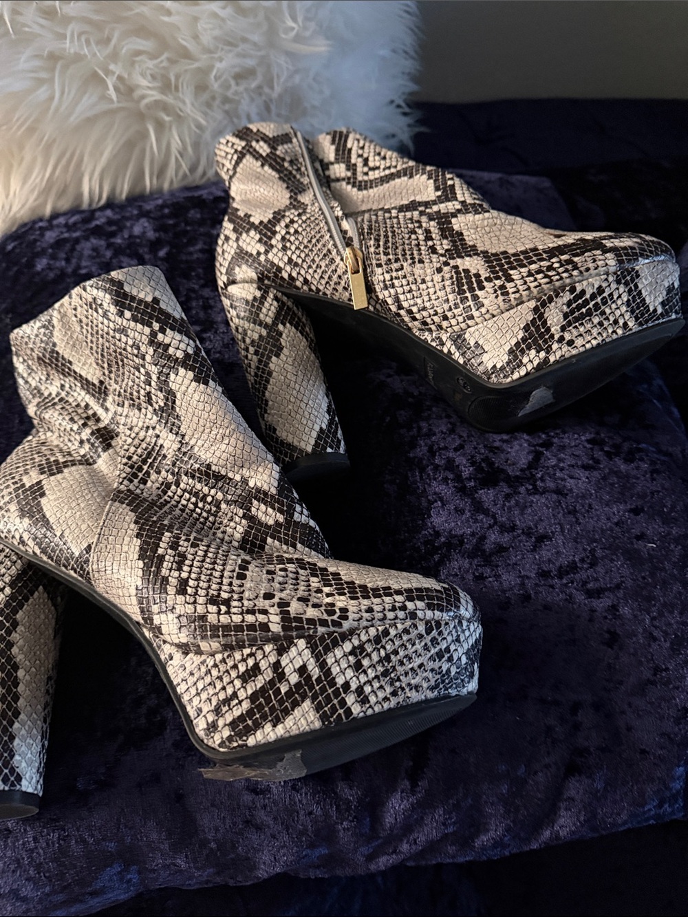 Snake-Print Platform Ankle Boots - Black & White